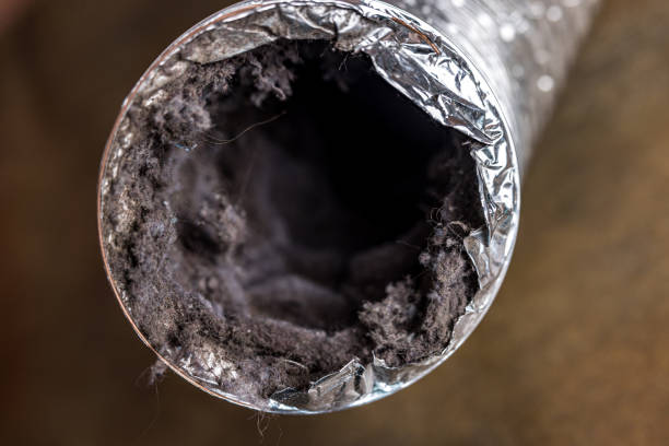 Best Dryer Vent Cleaning Services  in Five Corners, WA