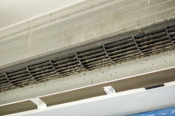 Air Duct Mold Removal in WA